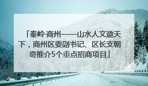 秦岭·商州——山水人文邀天下，商州区委副书记、区长支朝奇推介5个重点招商项目